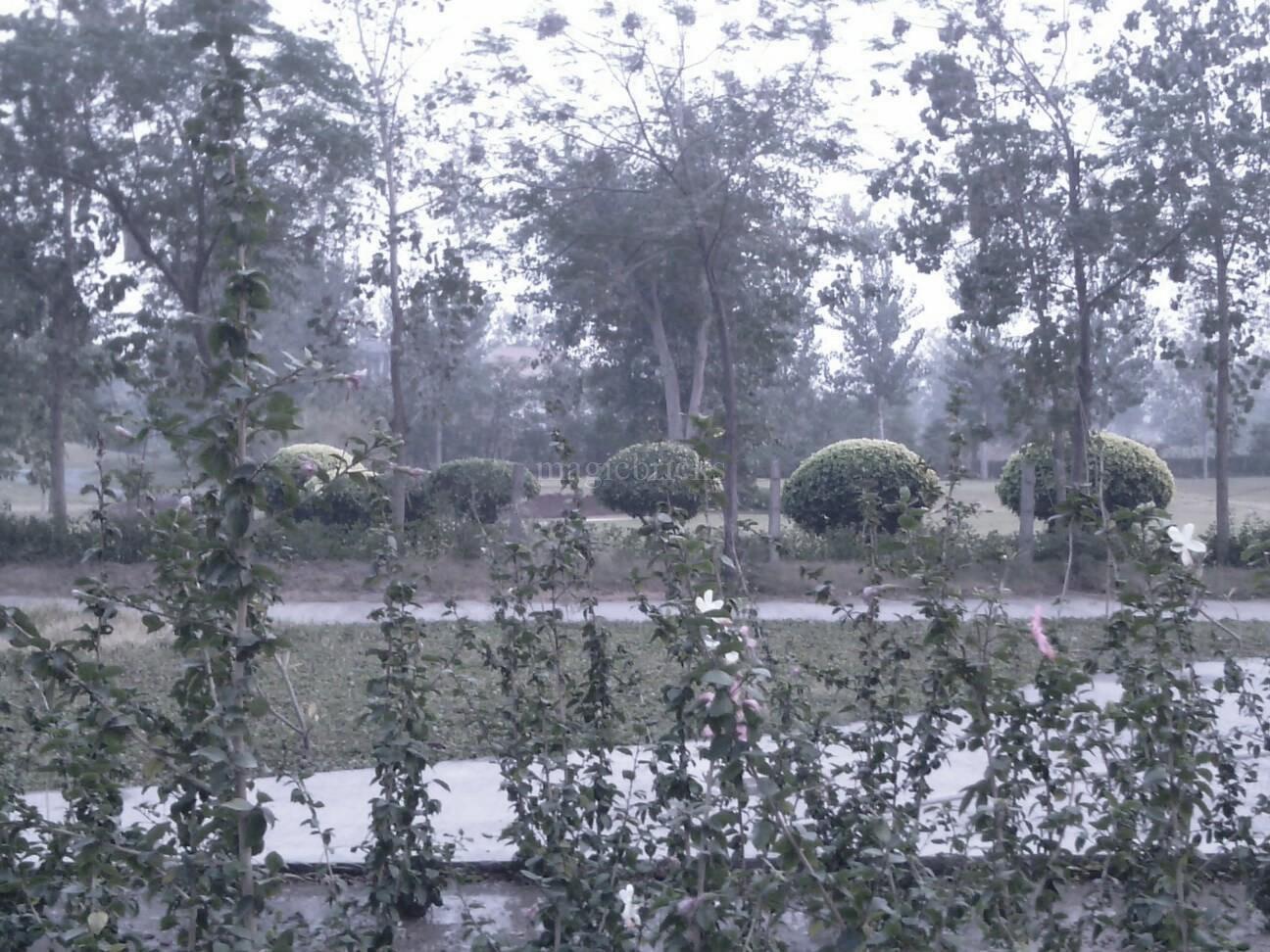 Jaypee Kalypso Court, Sector 128 Noida