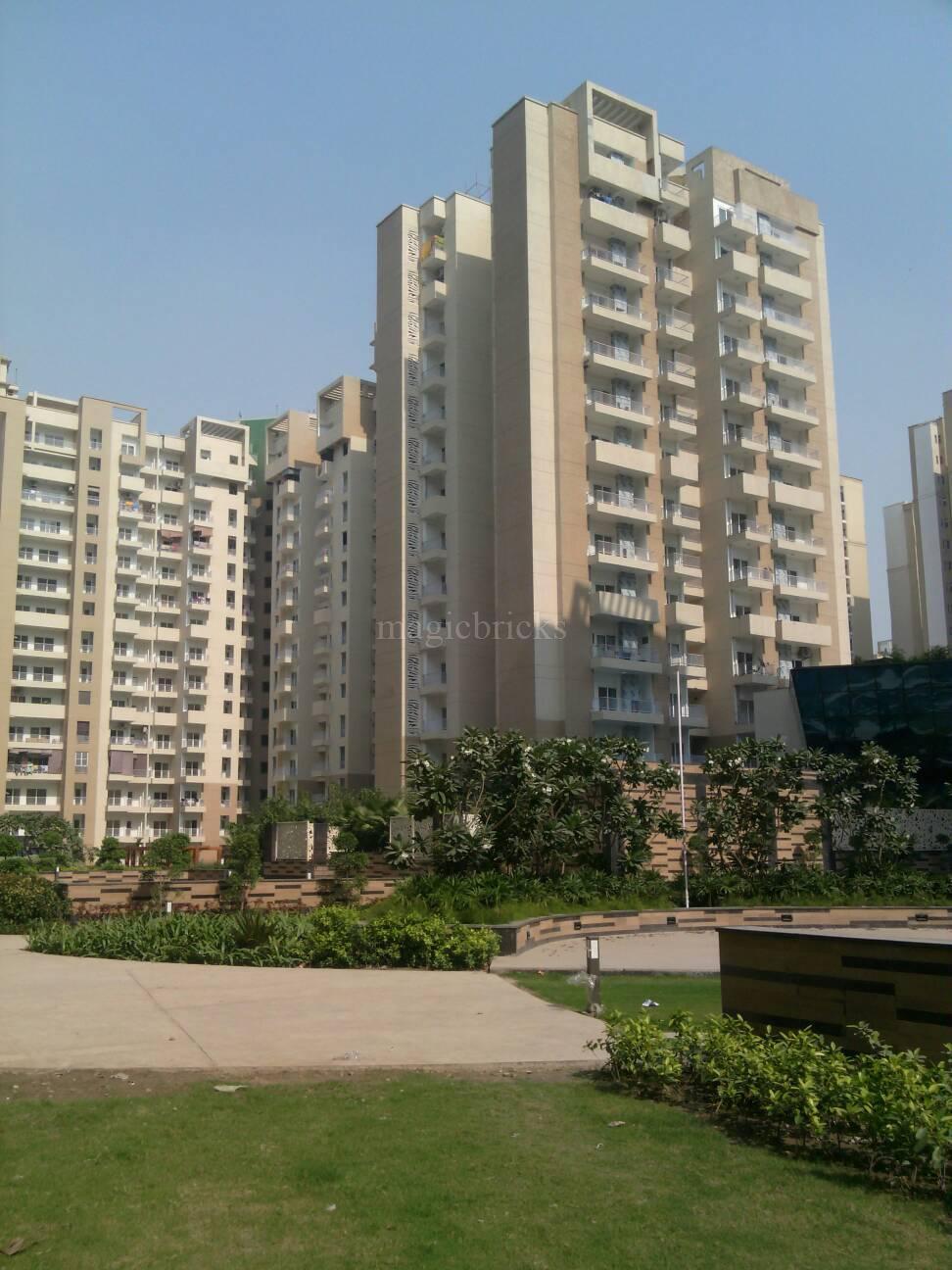 Ajnara Daffodil, Sector 137 Noida