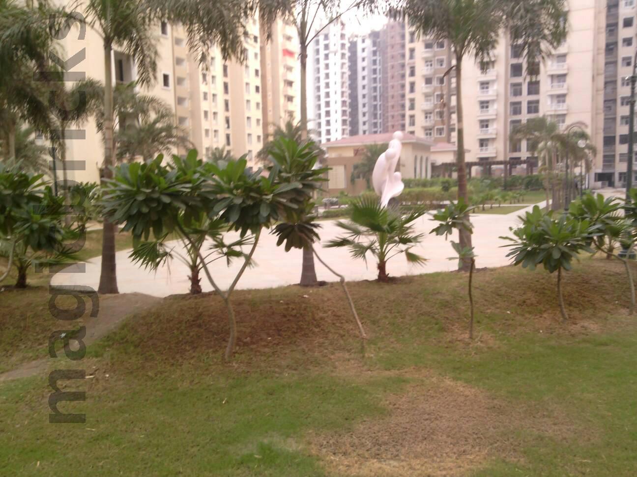 Amrapali Silicon City, Sector 76 Noida