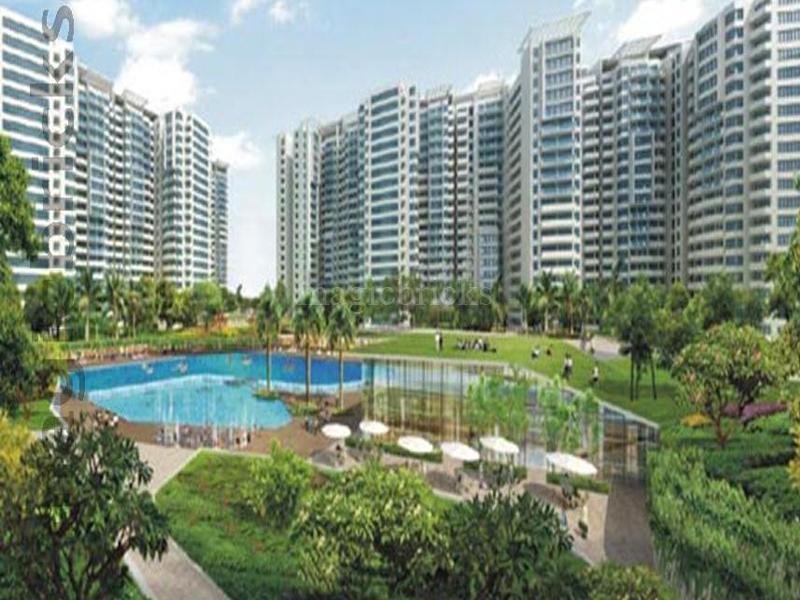 Ajnara Daffodil, Sector 137 Noida