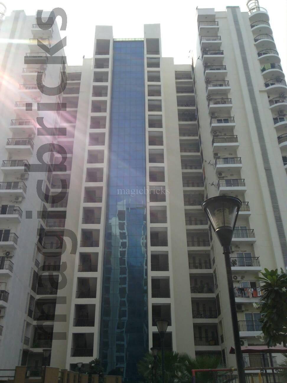 Mahagun Maple, Sector 50 Noida
