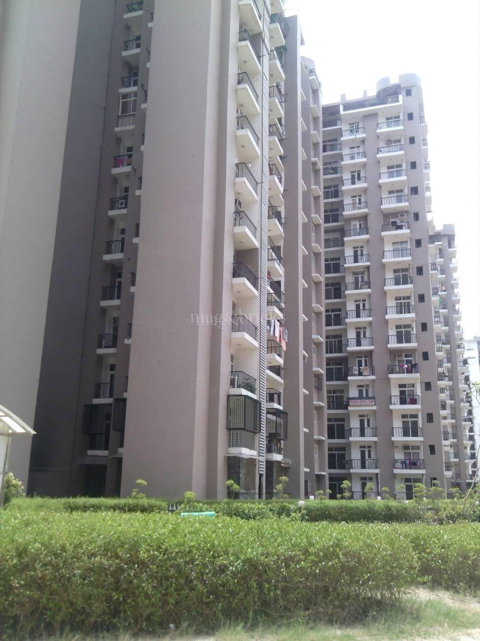 Amrapali Zodiac, Sector 120 Noida