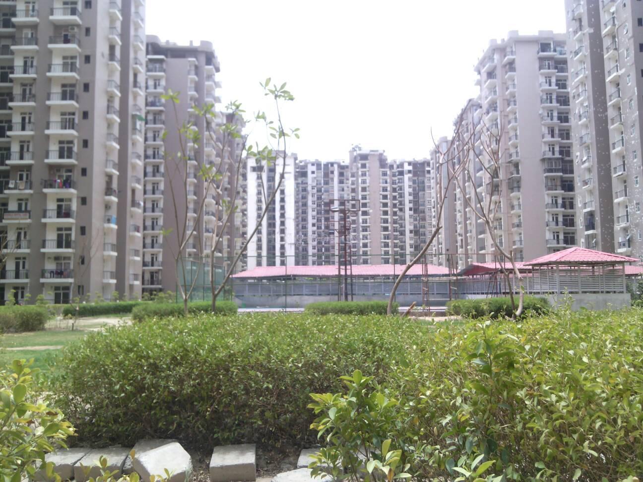 Amrapali Zodiac, Sector 120 Noida