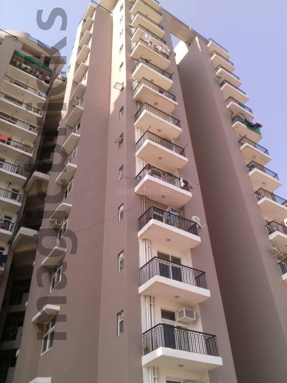 Amrapali Zodiac, Sector 120 Noida
