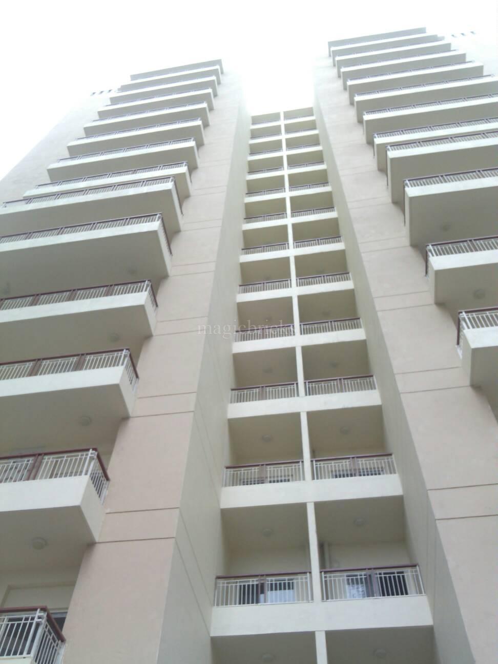 Gulshan Vivante, Sector 137 Noida