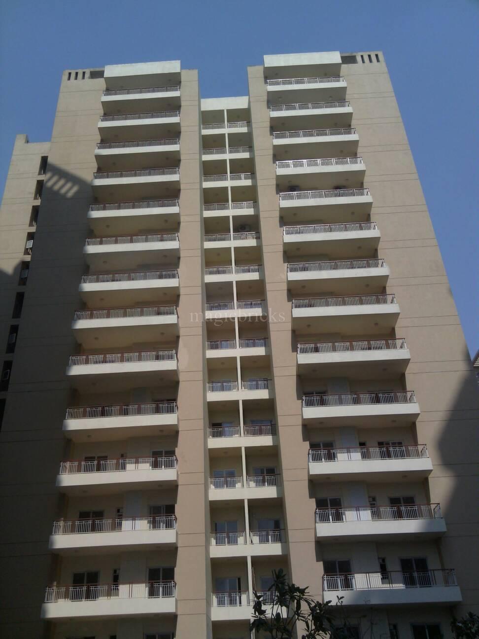 Gulshan Vivante, Sector 137 Noida