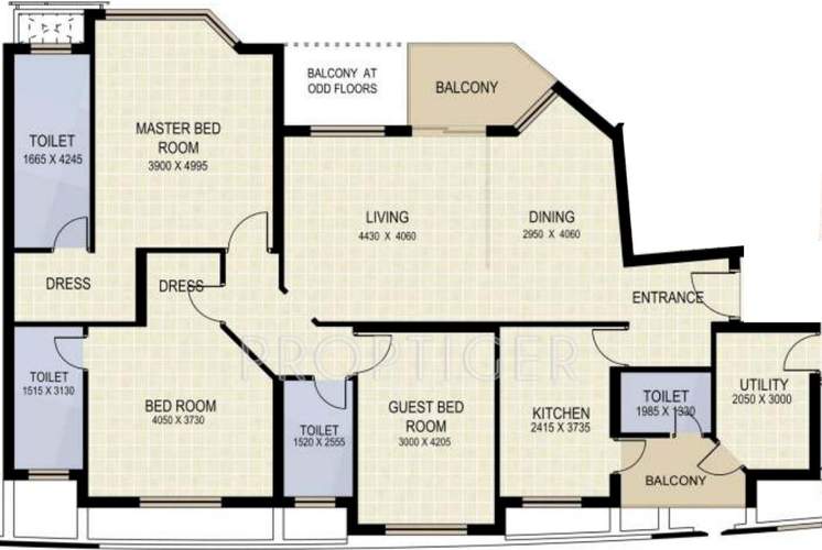 Jaypee Kalypso Court, Sector 128 Noida